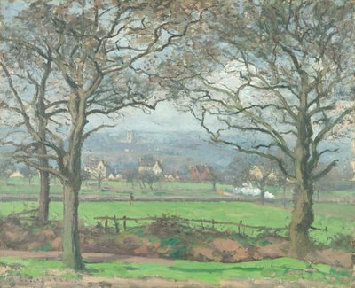 Vicino a Sydenham Hill da Camille Jacob Pissarro